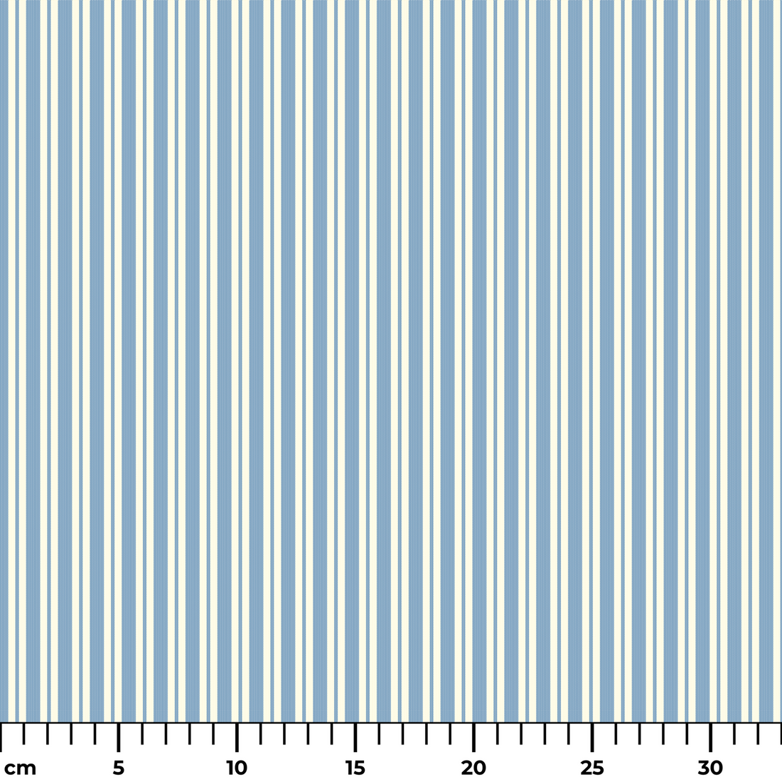  ruler cm