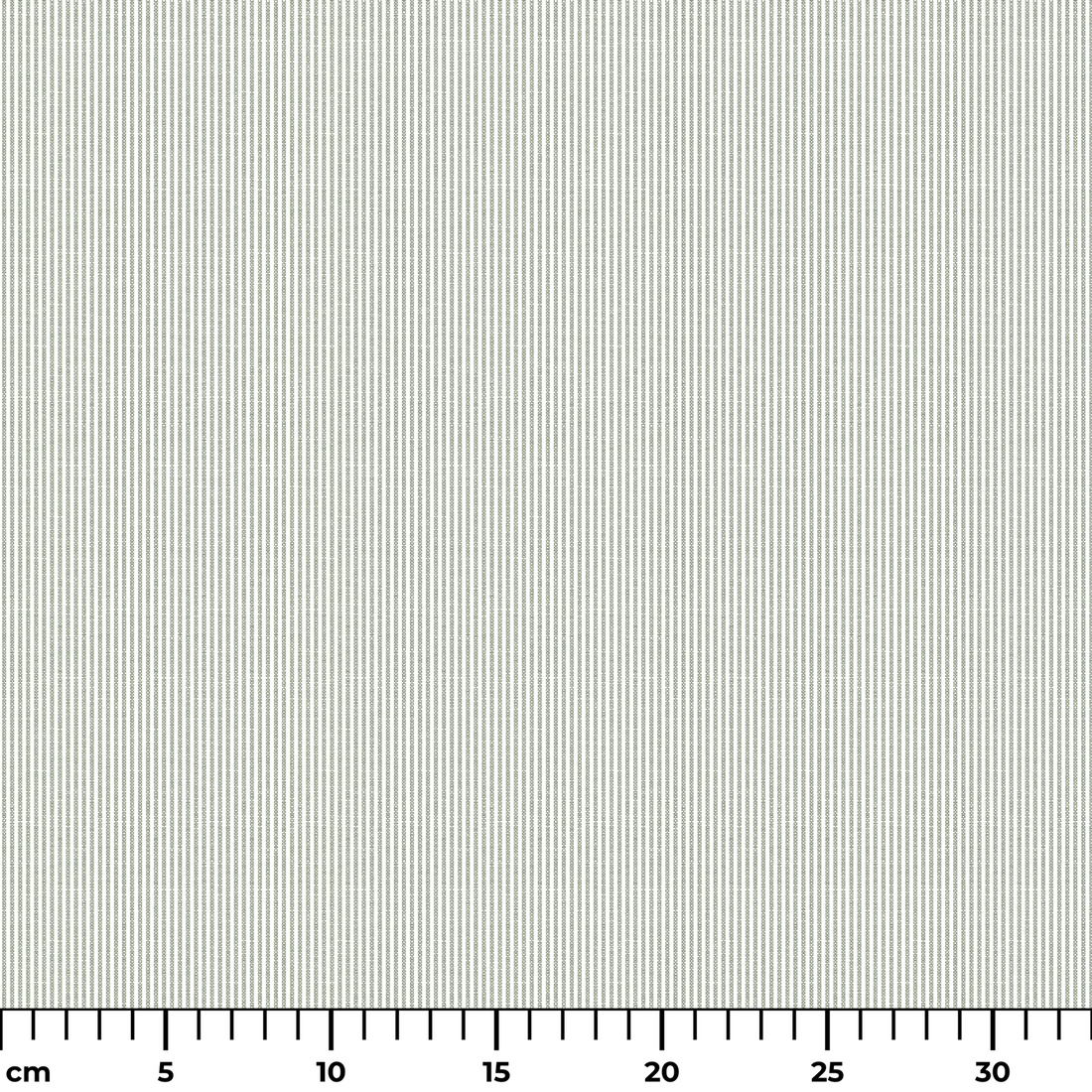  ruler cm