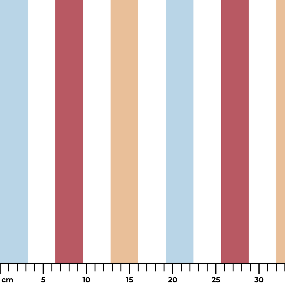  ruler cm