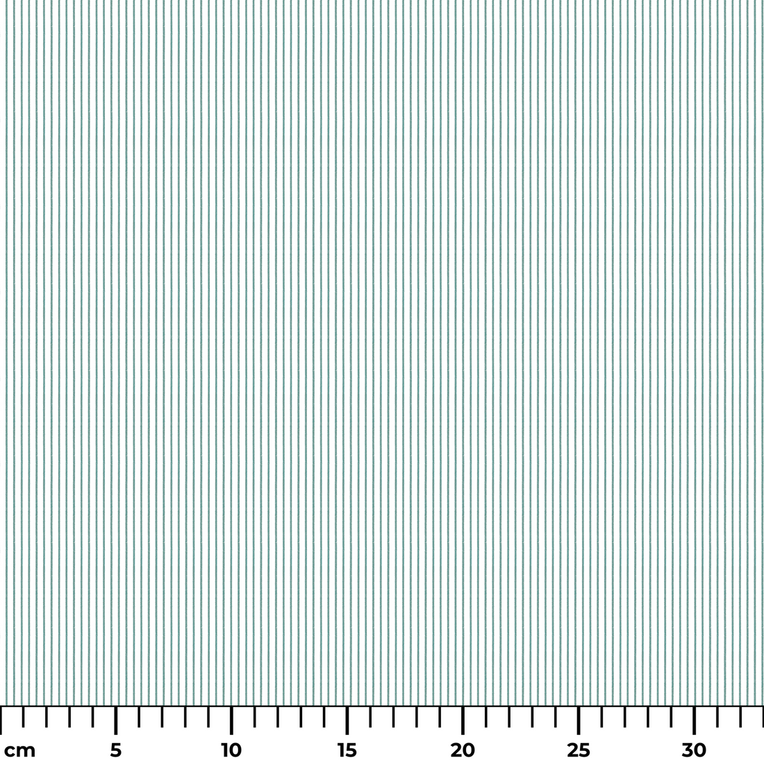  ruler cm