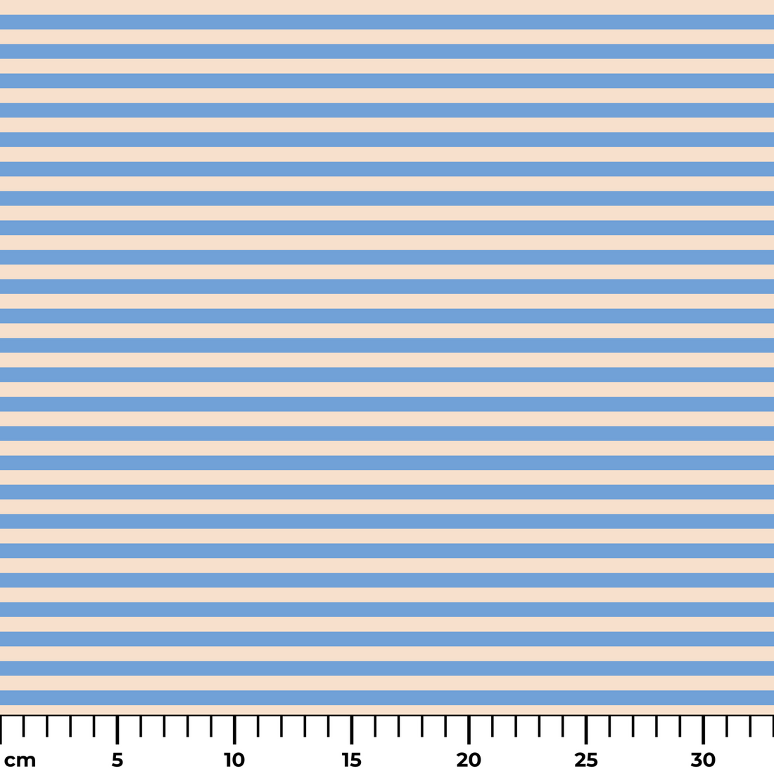  ruler cm