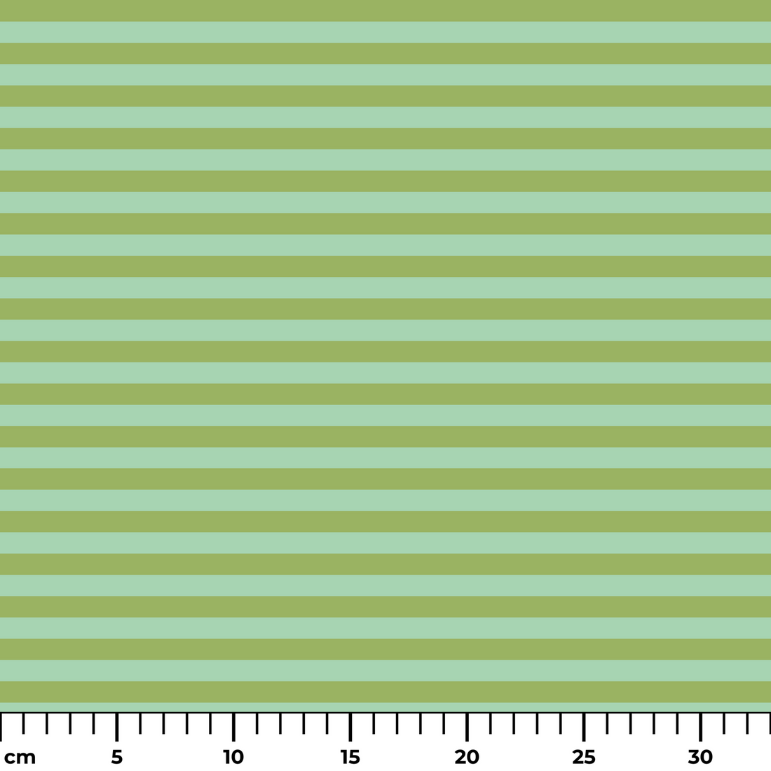 ruler cm