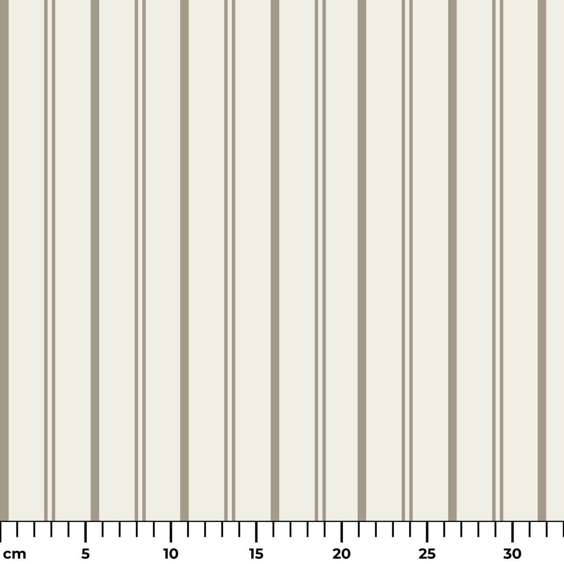  ruler cm