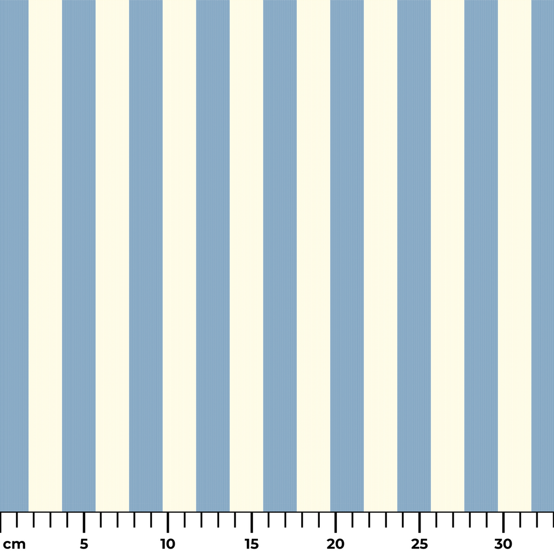  ruler cm