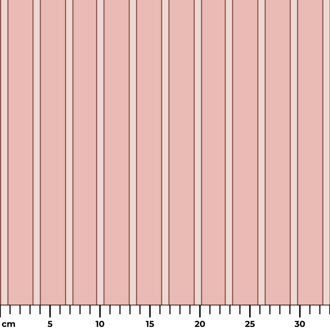  ruler cm