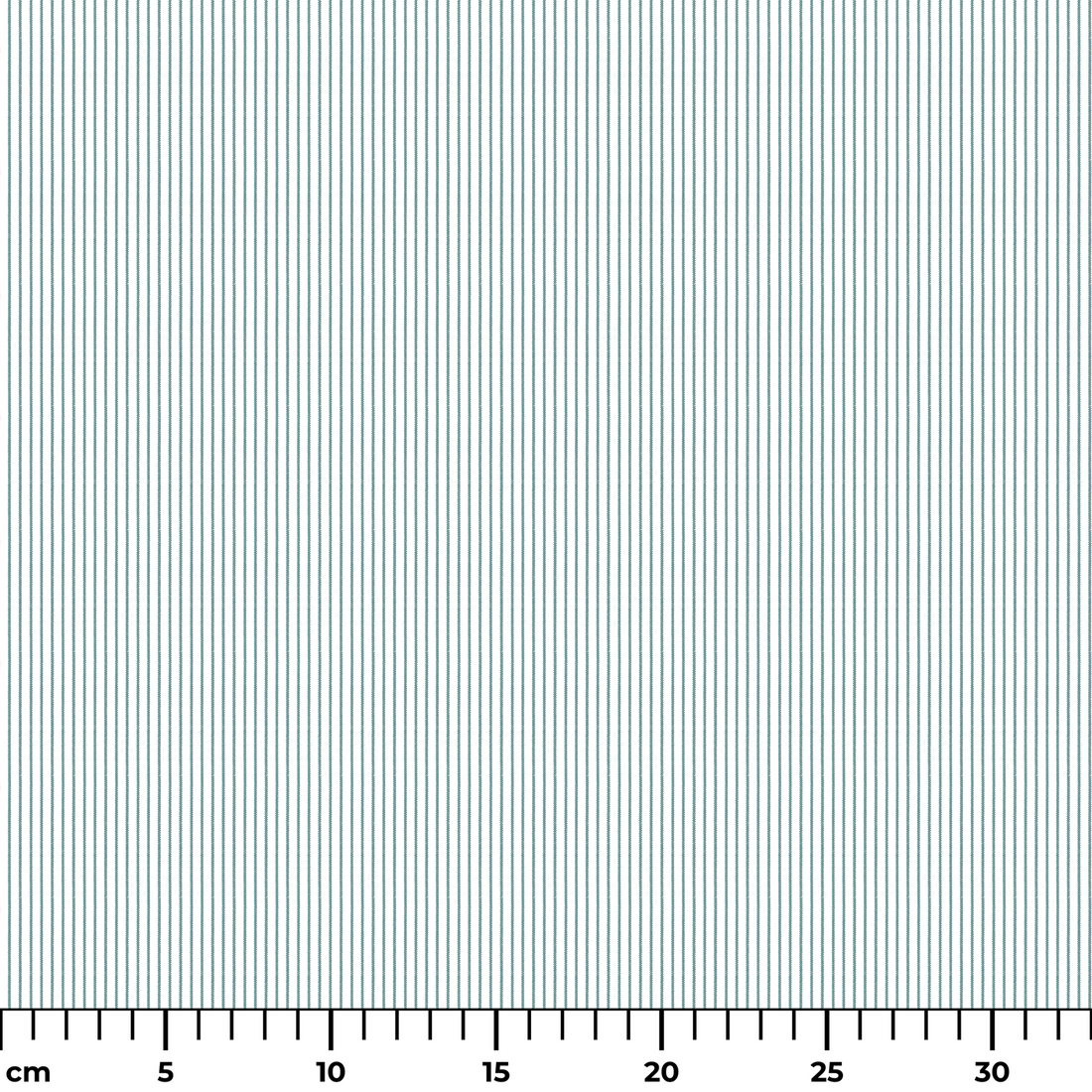  ruler cm