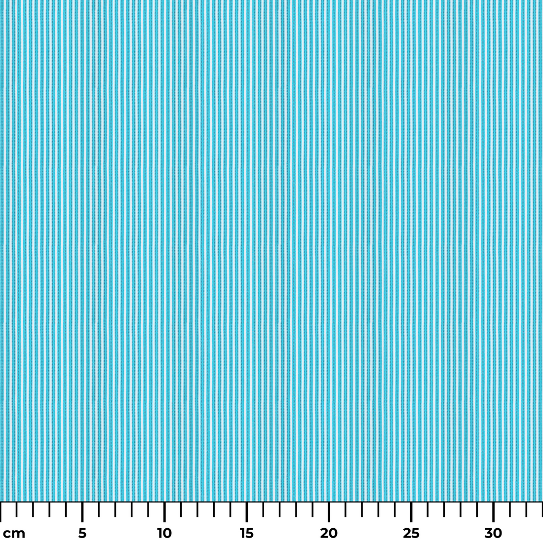  ruler cm