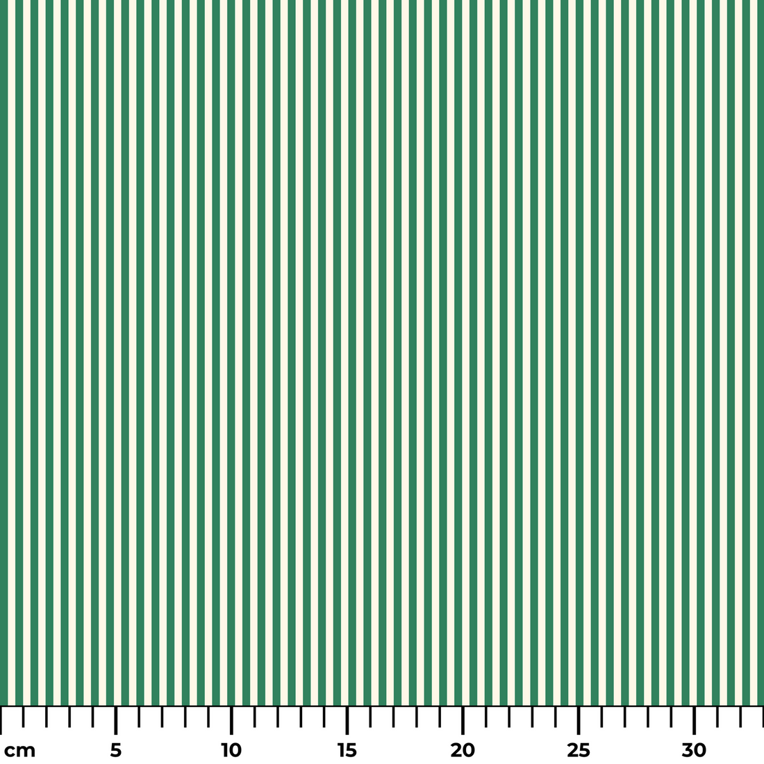  ruler cm