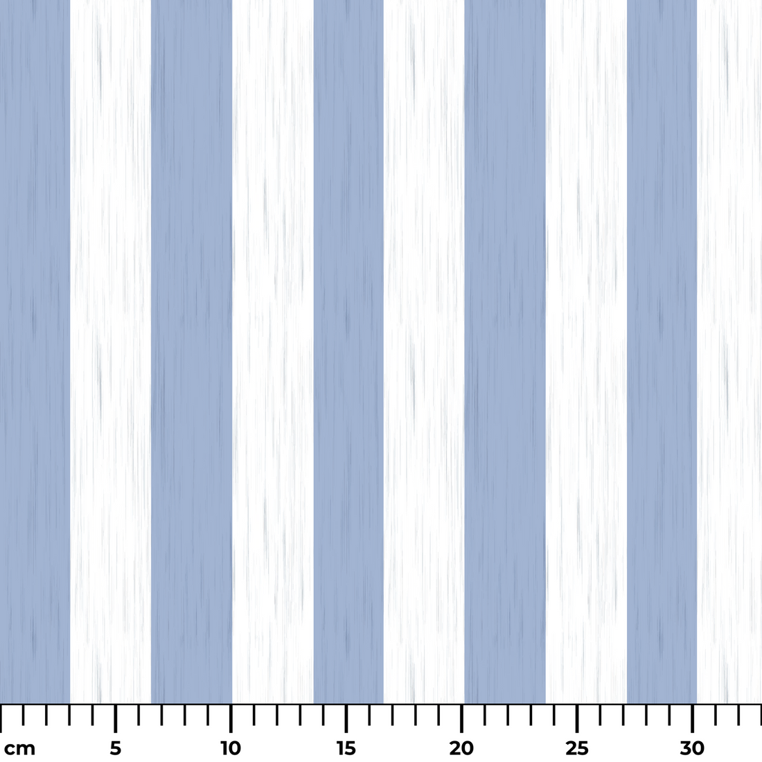  ruler cm