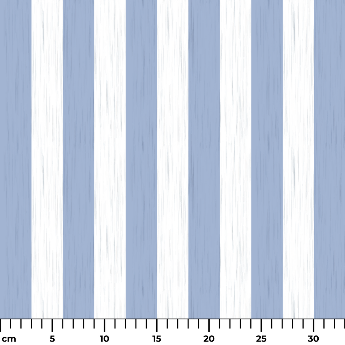  ruler cm