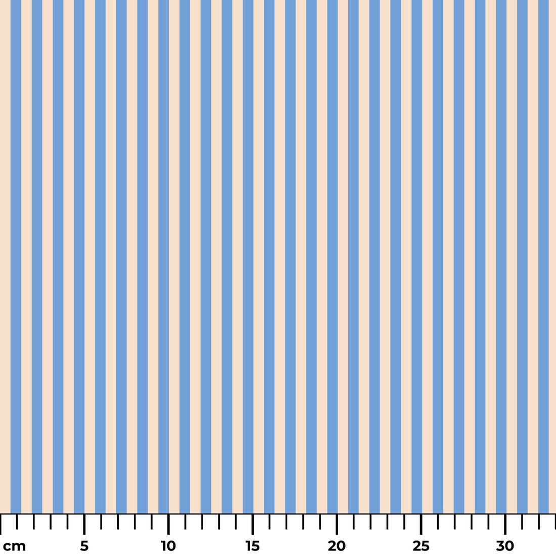  ruler cm