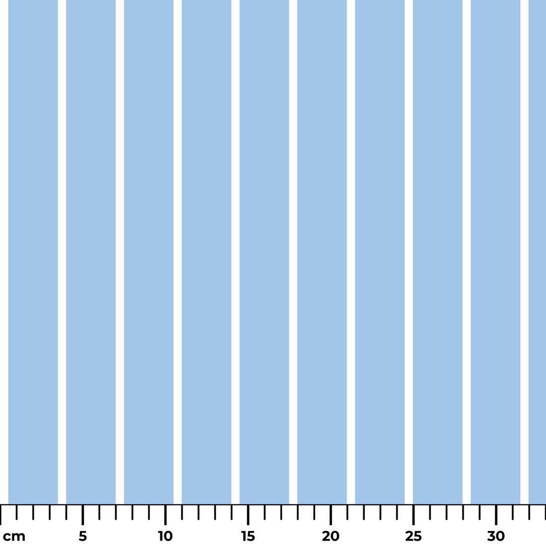  ruler cm