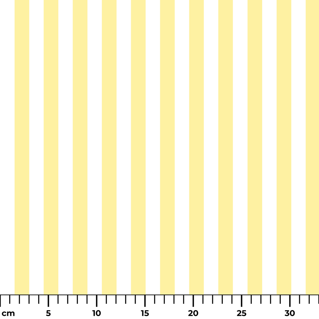  ruler cm