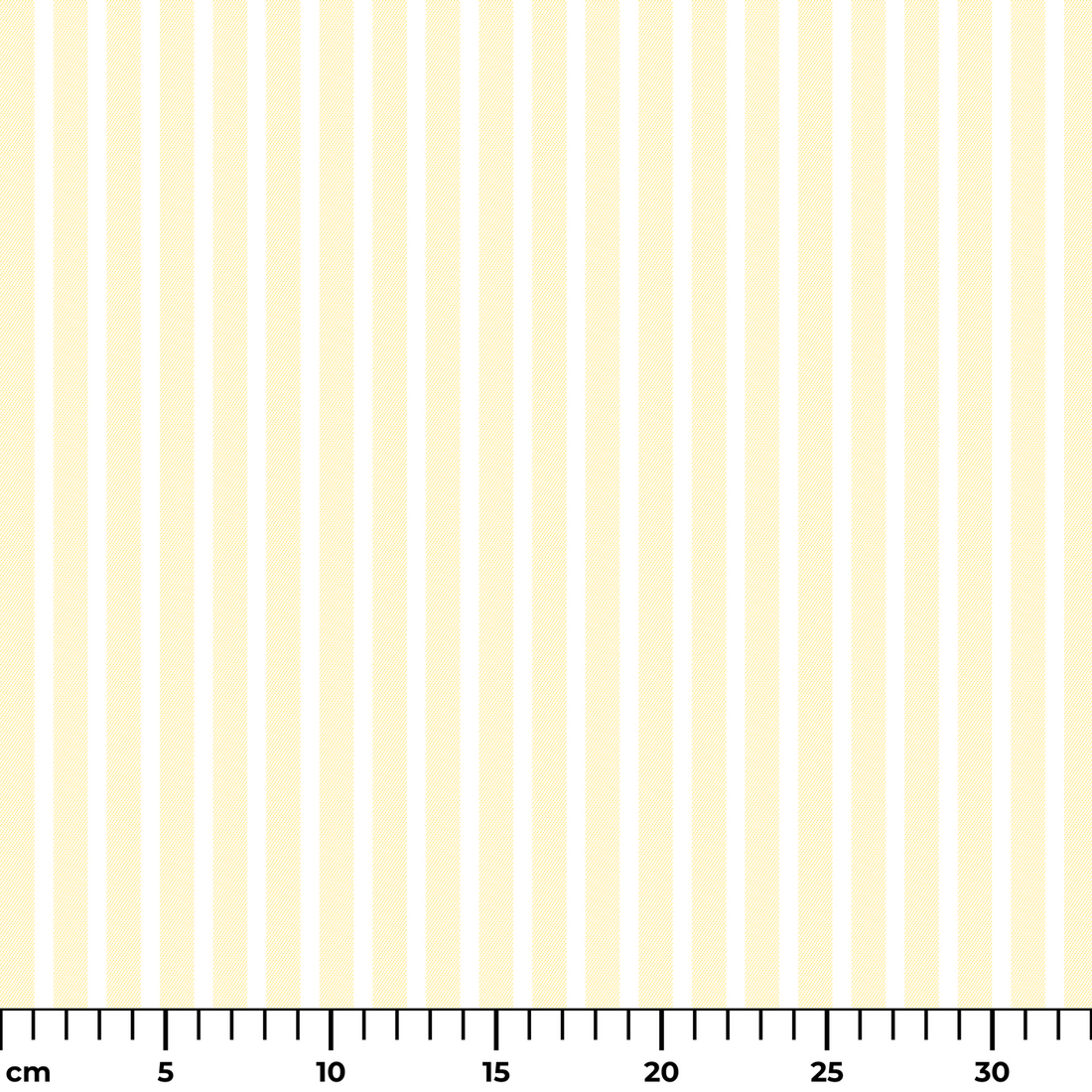  ruler cm