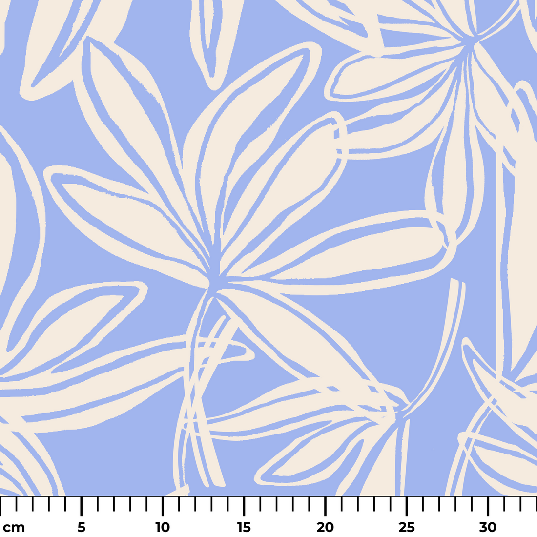  ruler cm