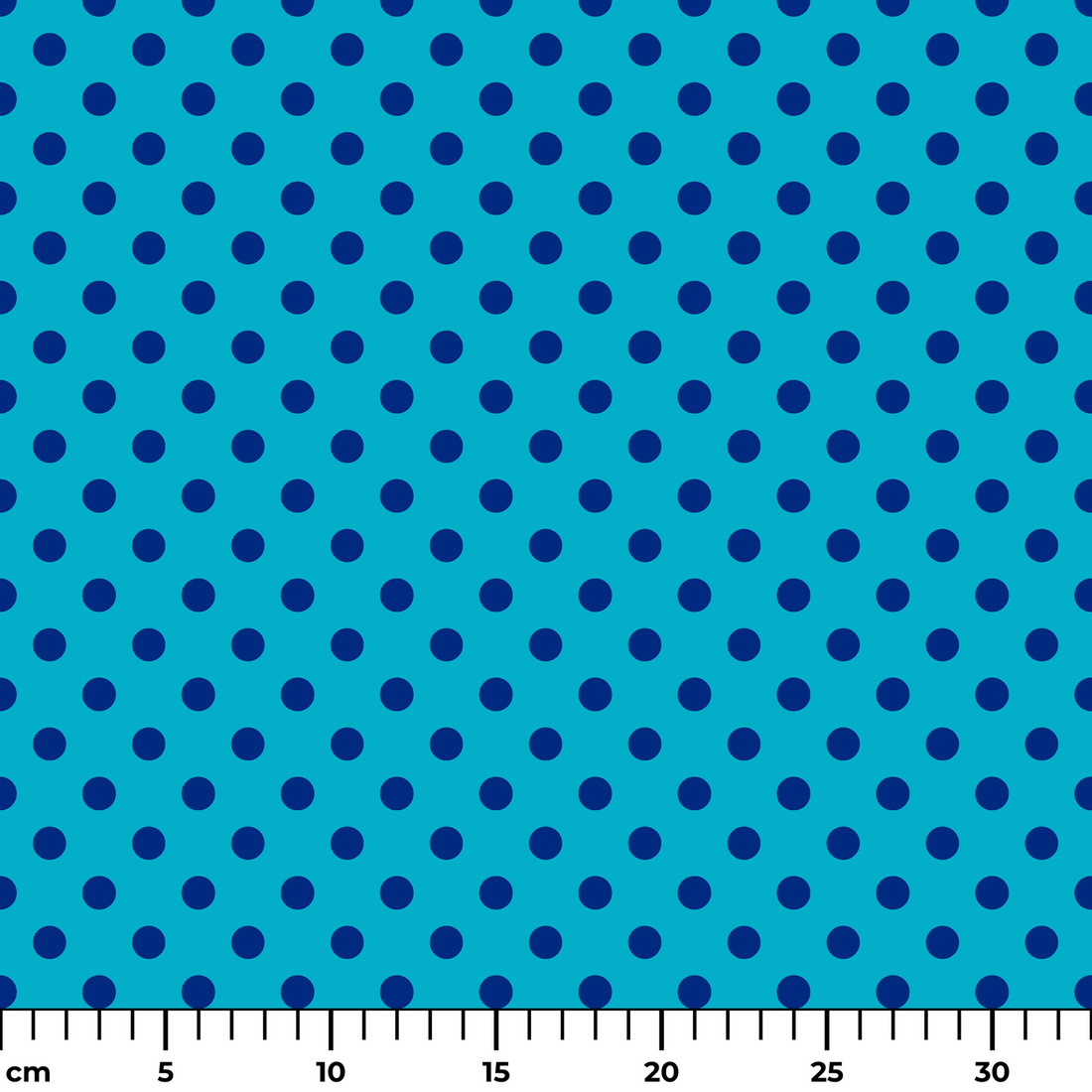  ruler cm