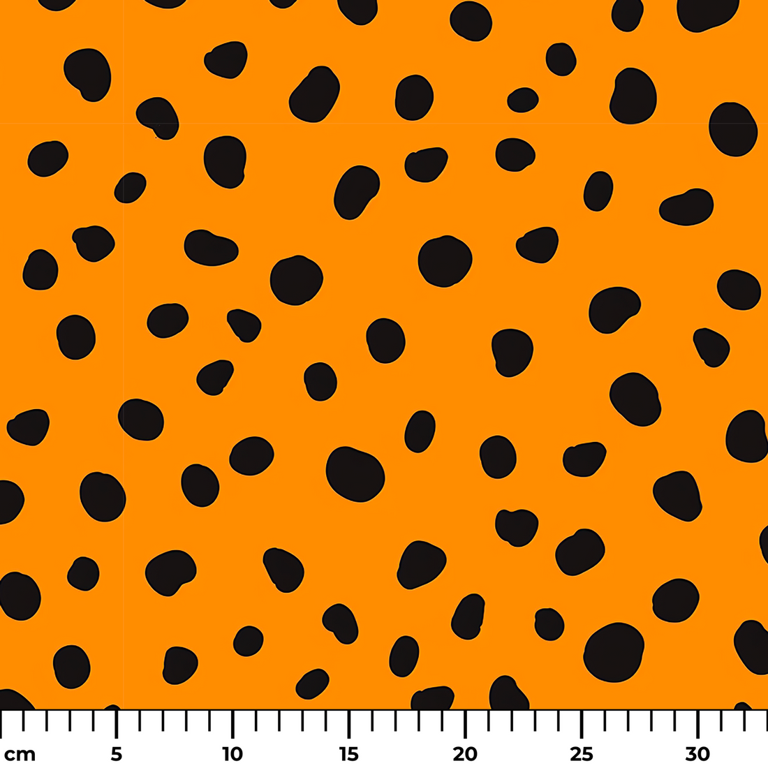  ruler cm