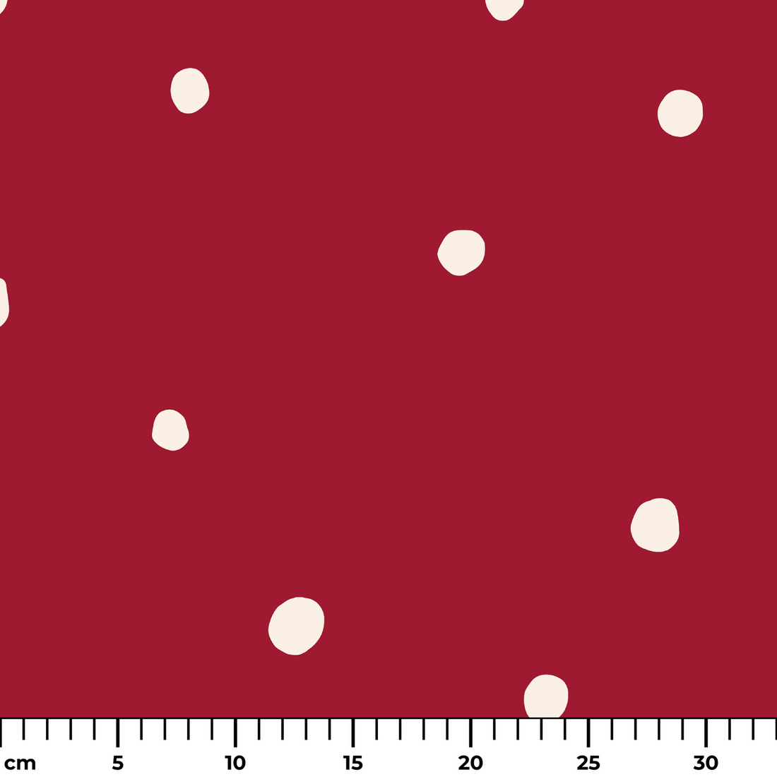 ruler cm