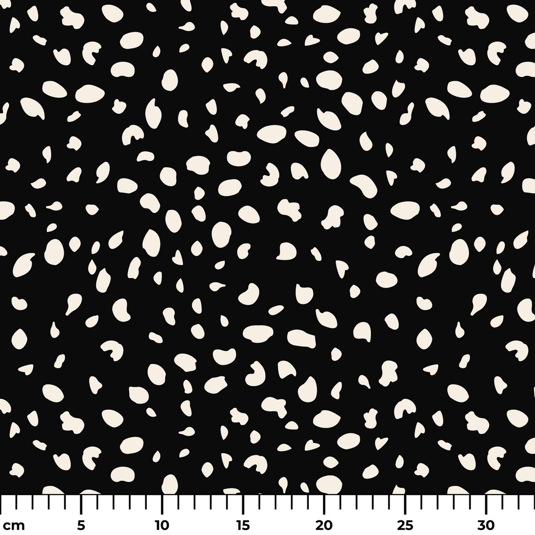  ruler cm