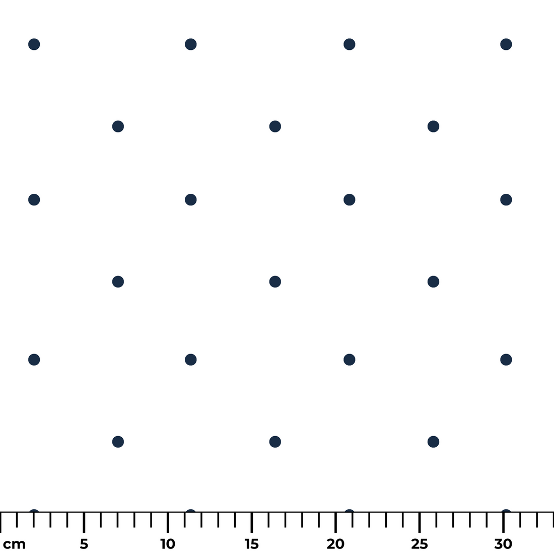  ruler cm