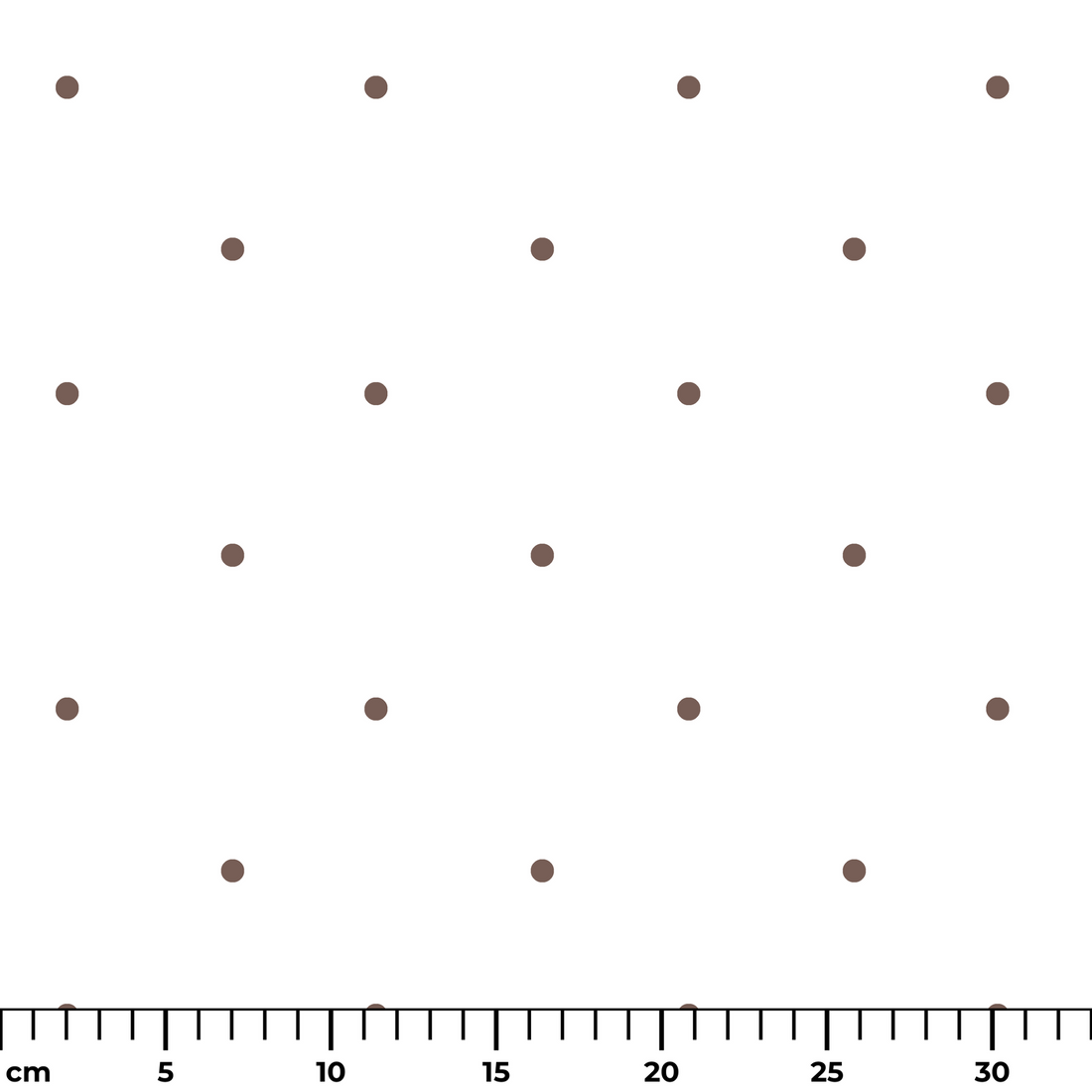  ruler cm
