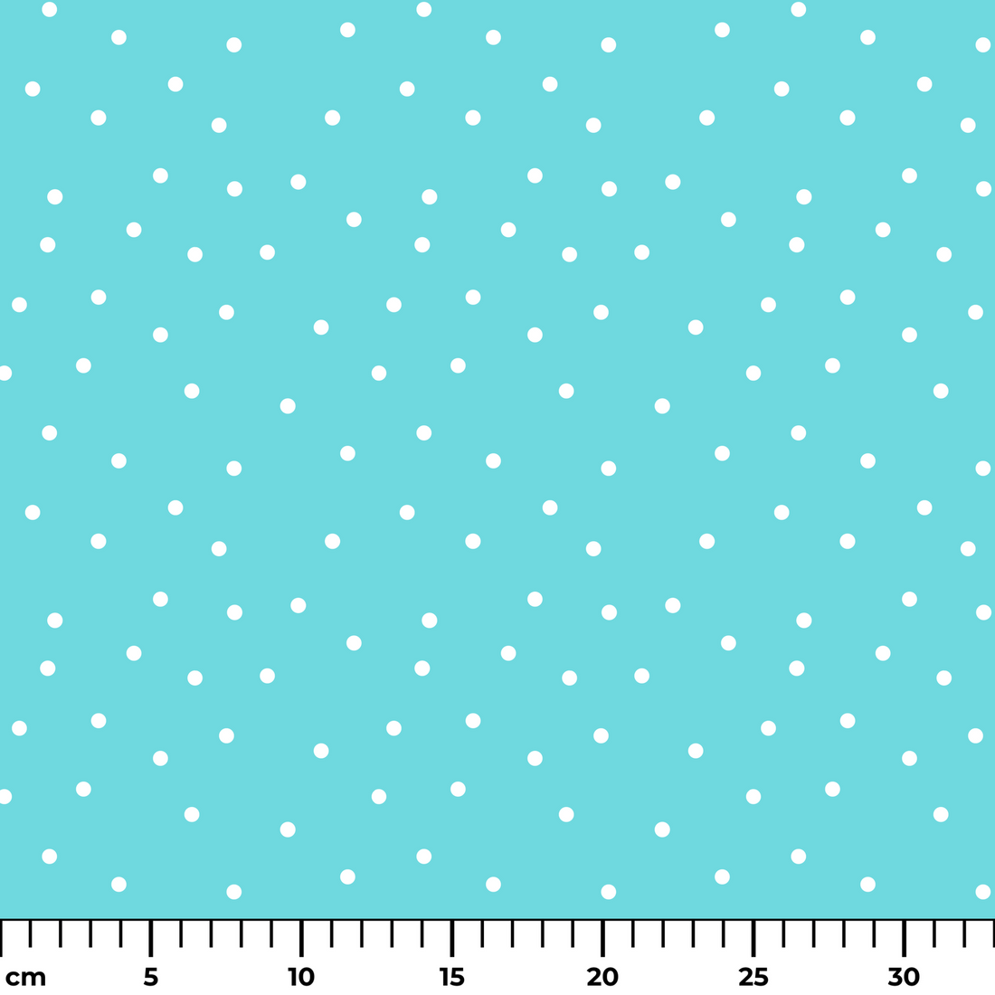  ruler cm