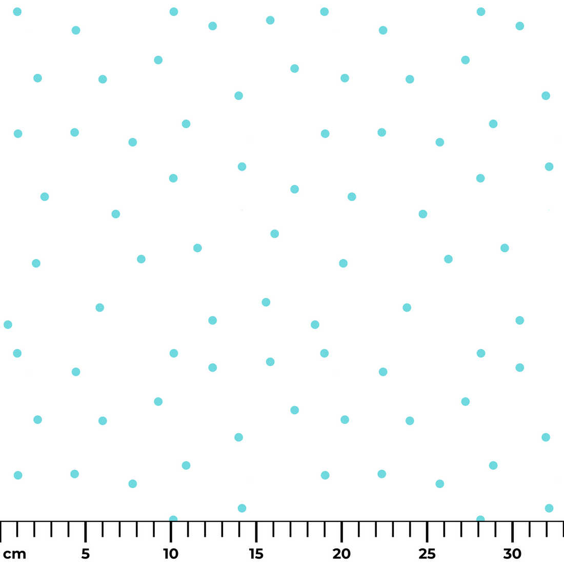  ruler cm