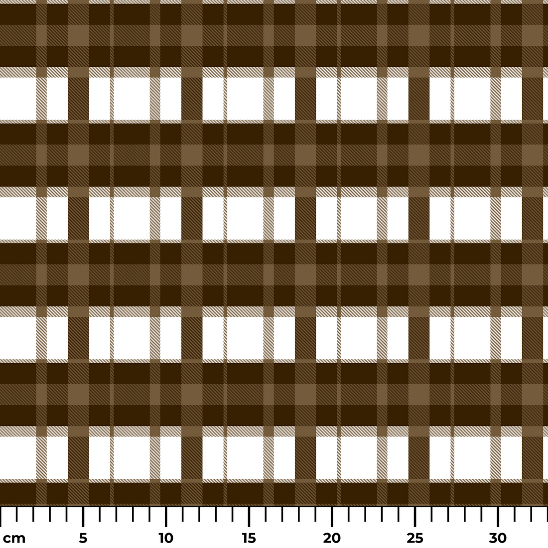  ruler cm