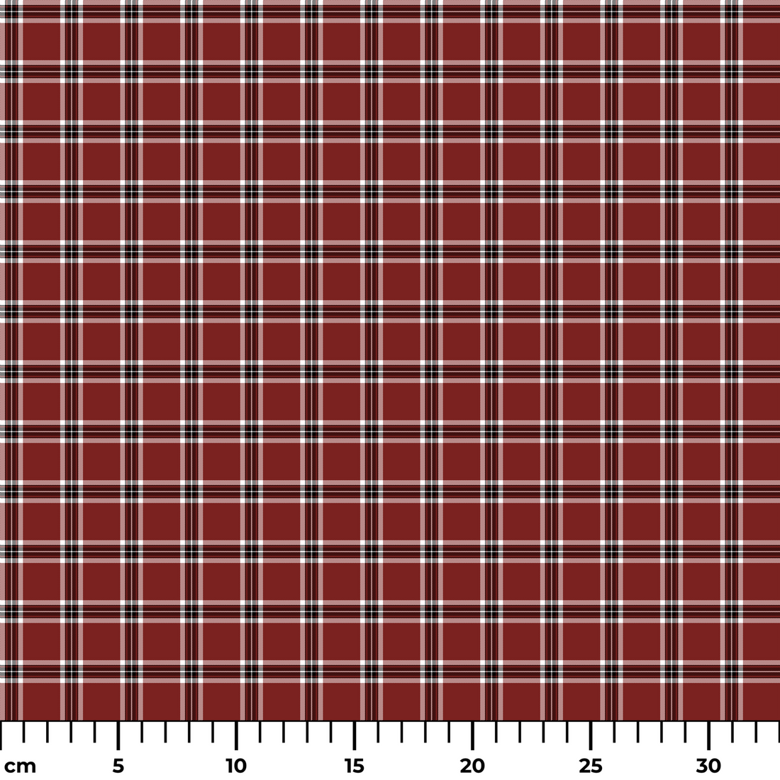  ruler cm