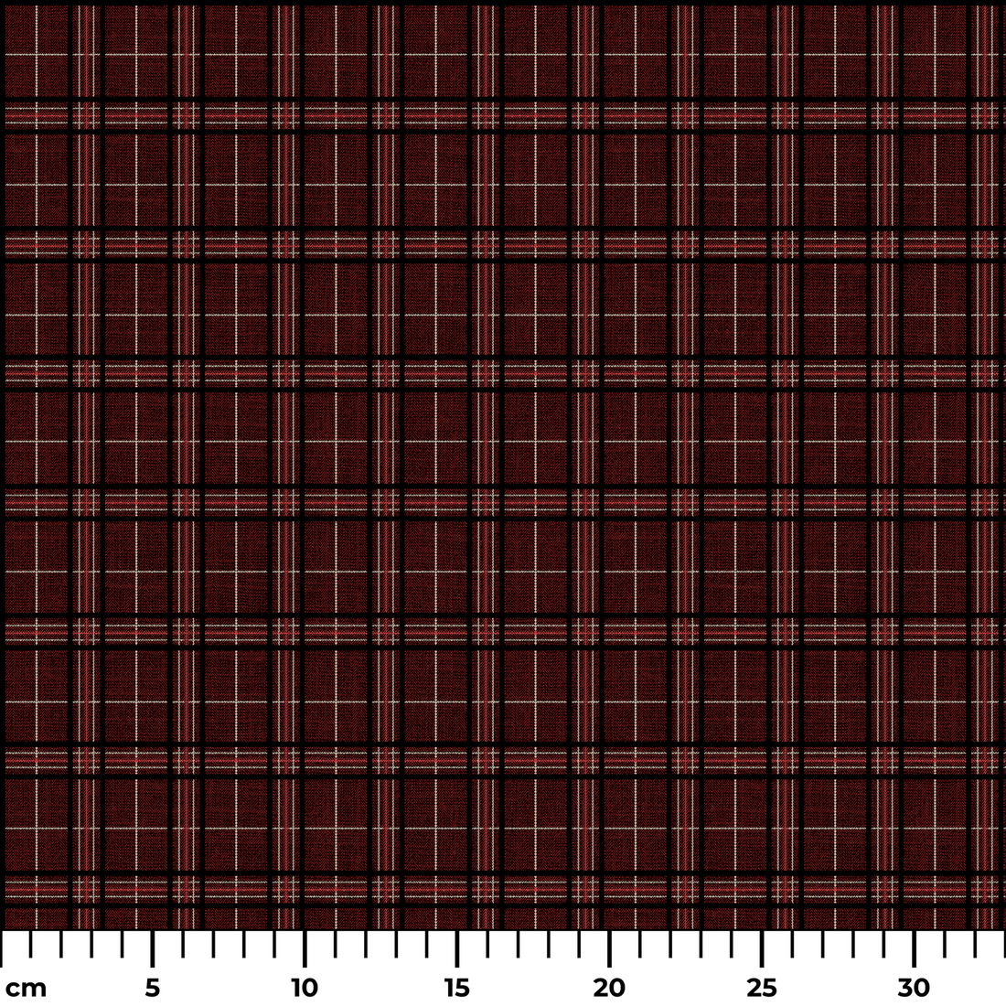  ruler cm