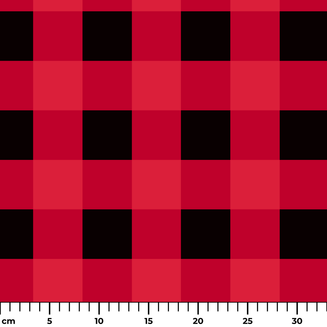  ruler cm