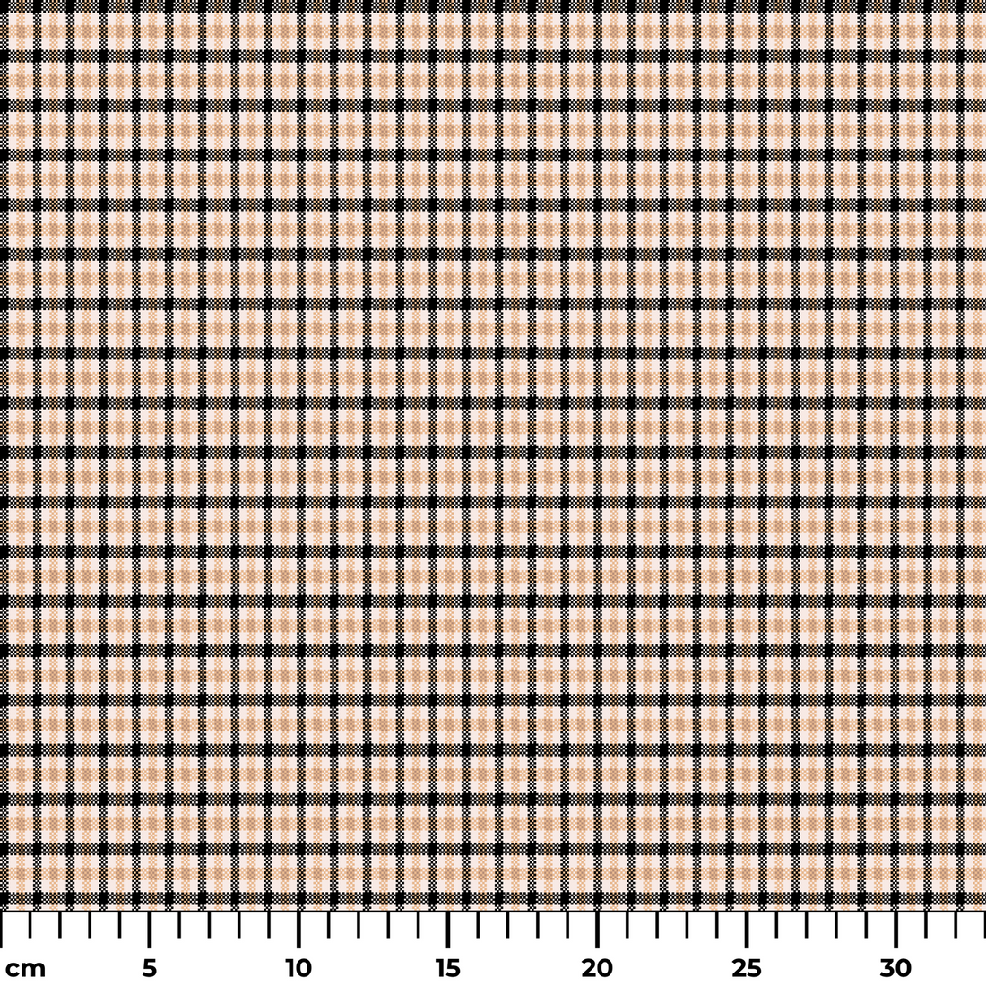  ruler cm