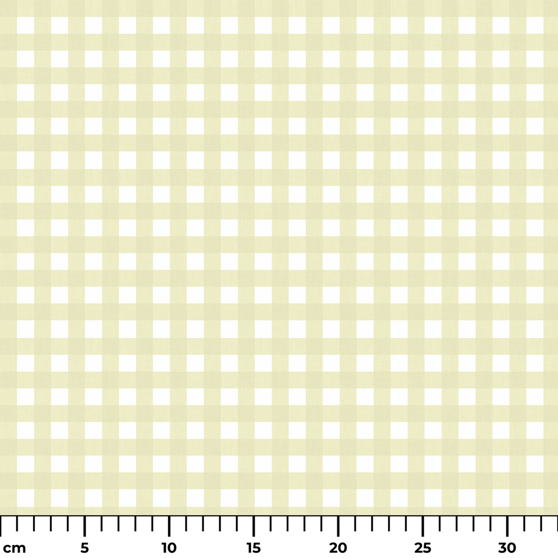  ruler cm