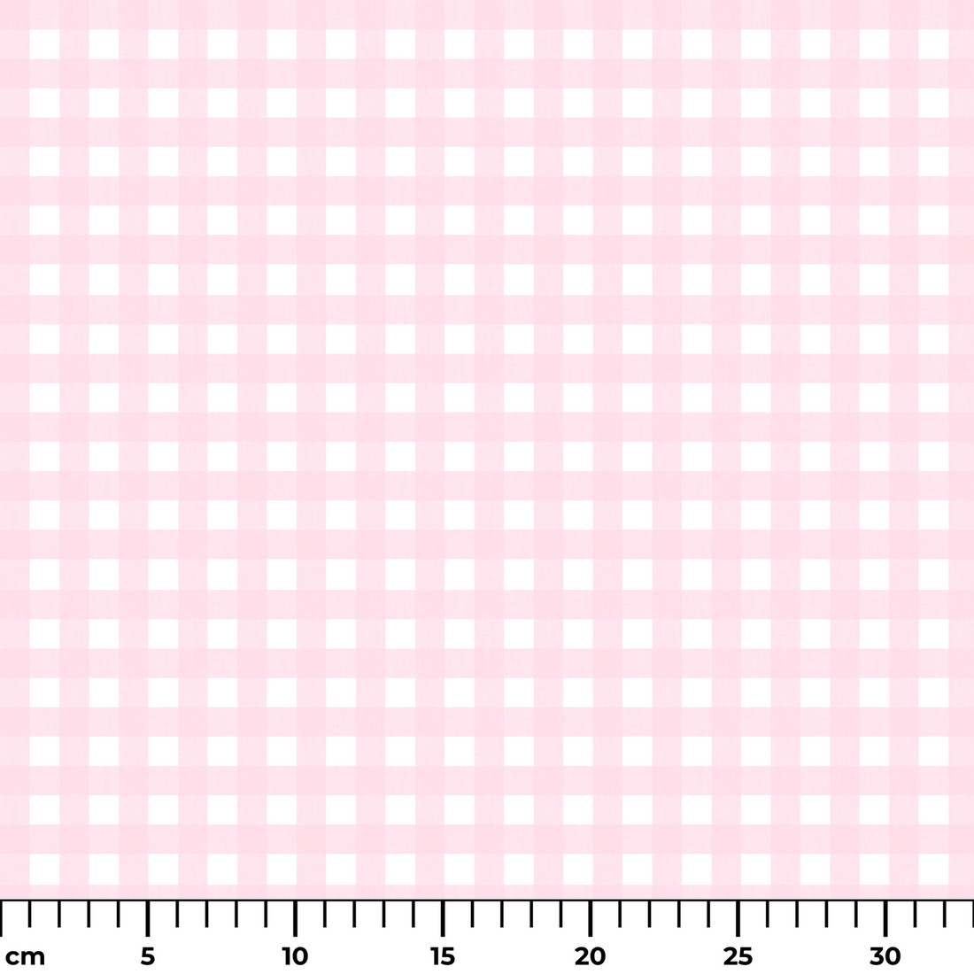  ruler cm