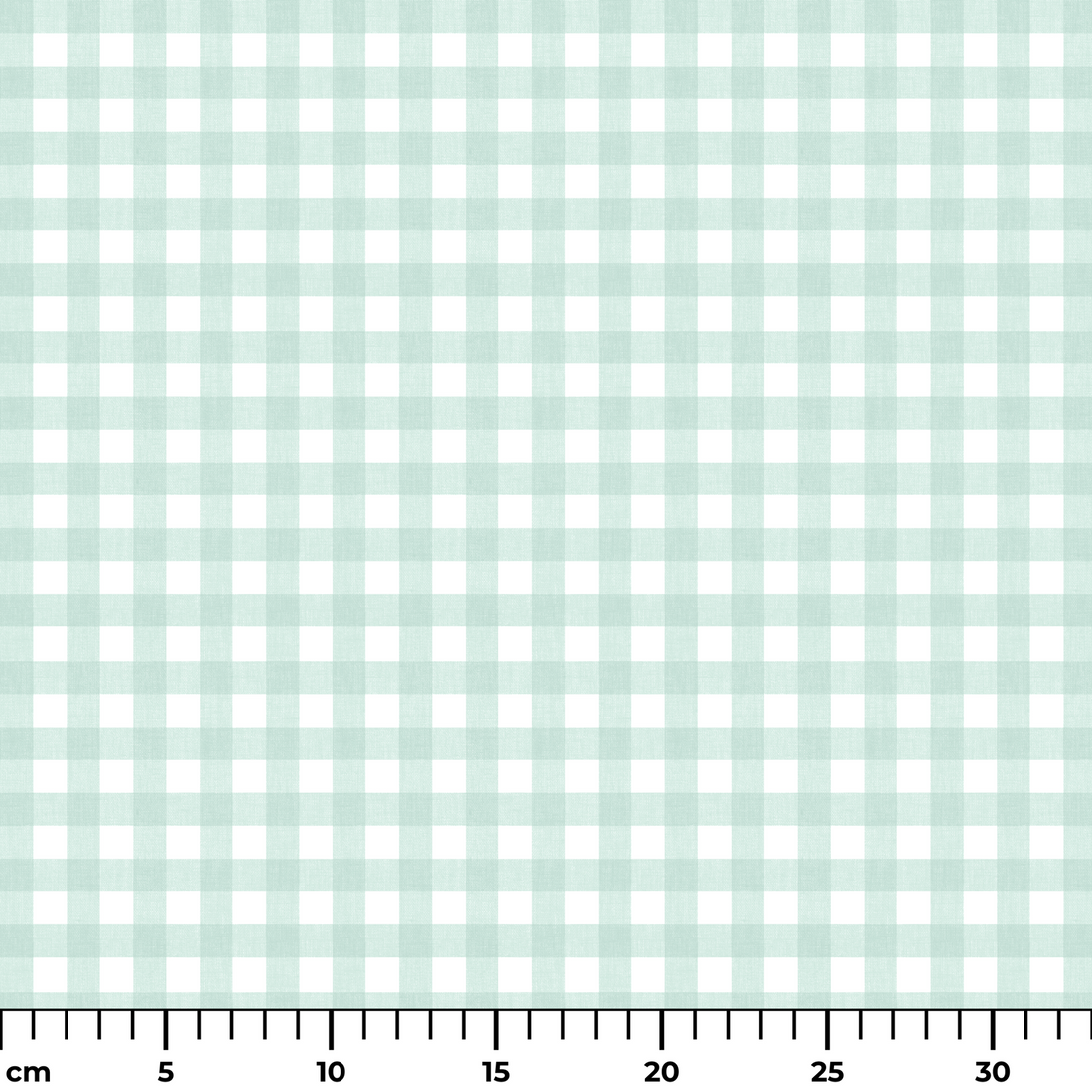  ruler cm