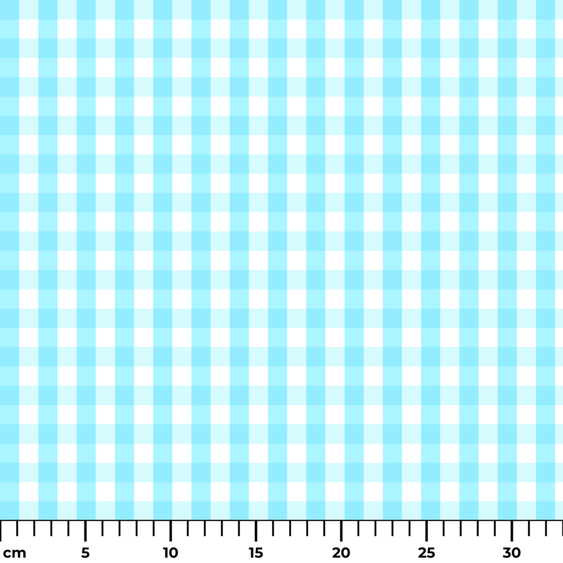  ruler cm