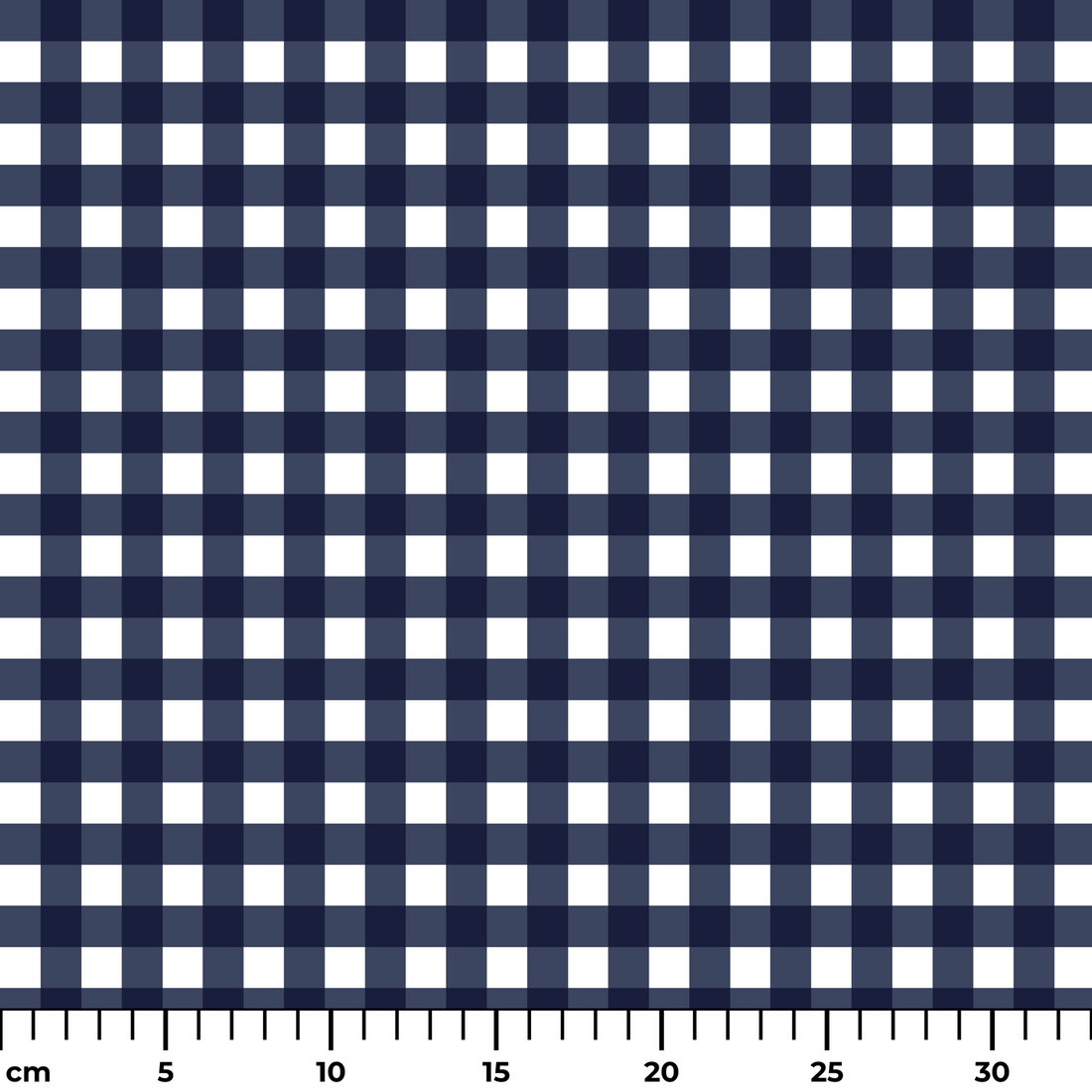  ruler cm