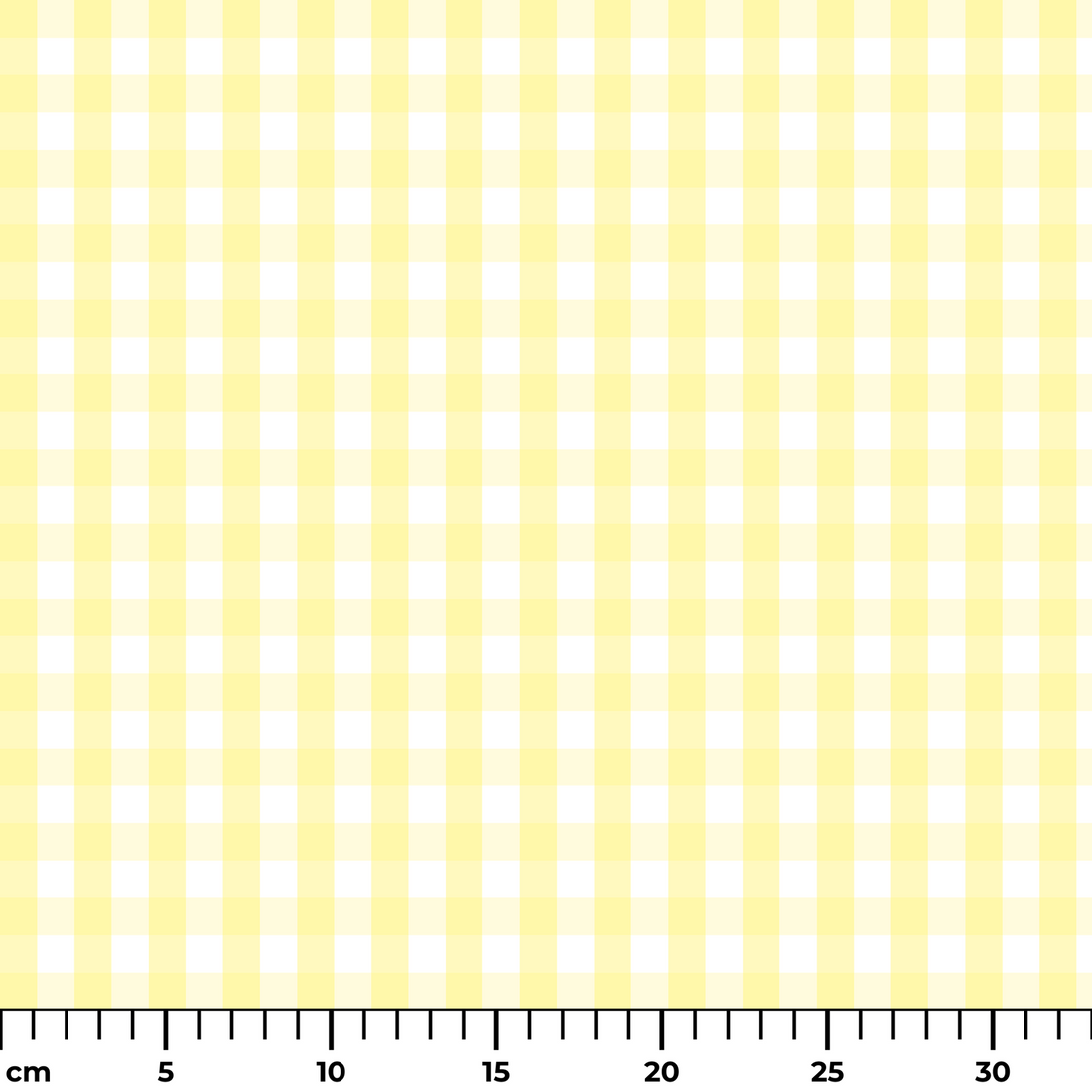  ruler cm