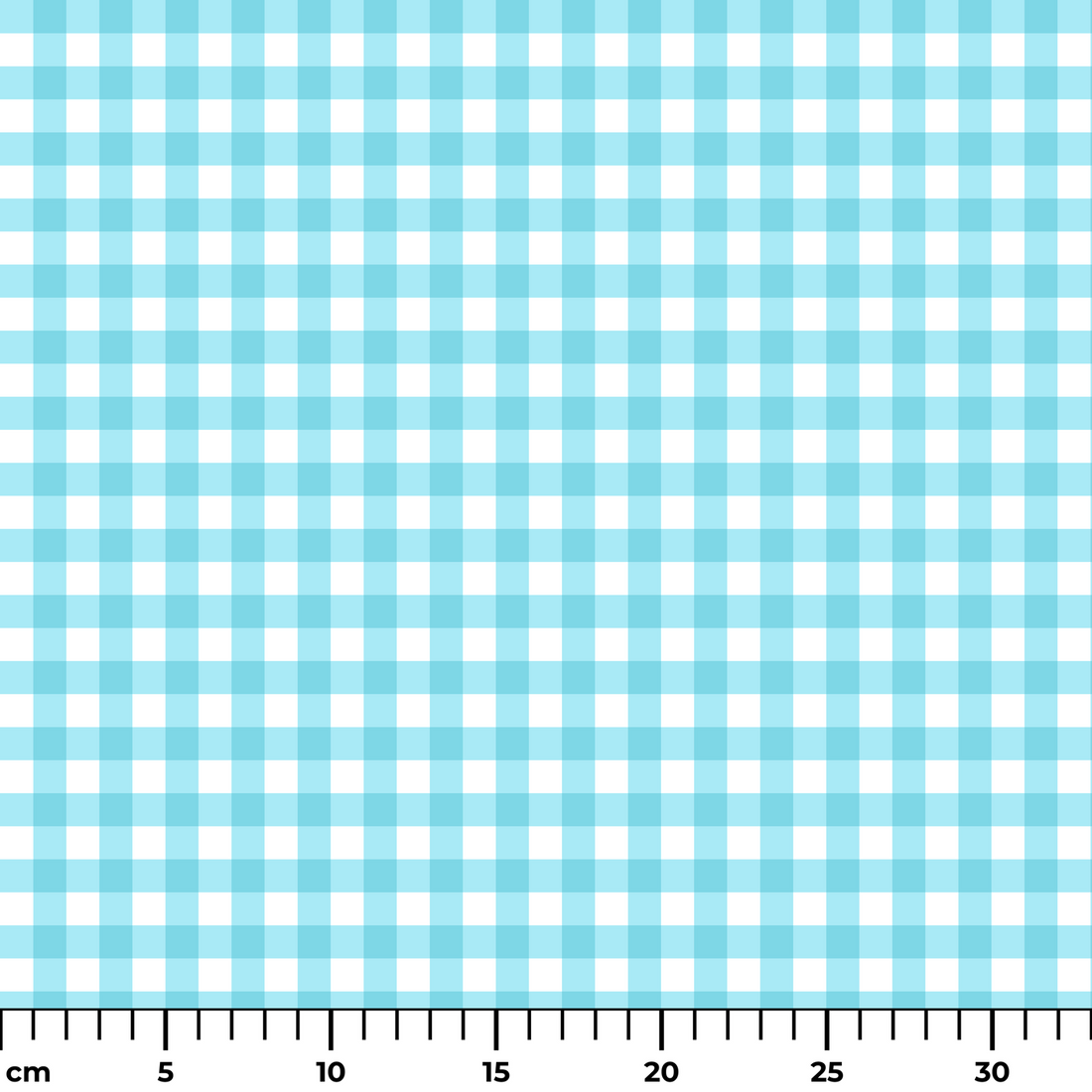  ruler cm