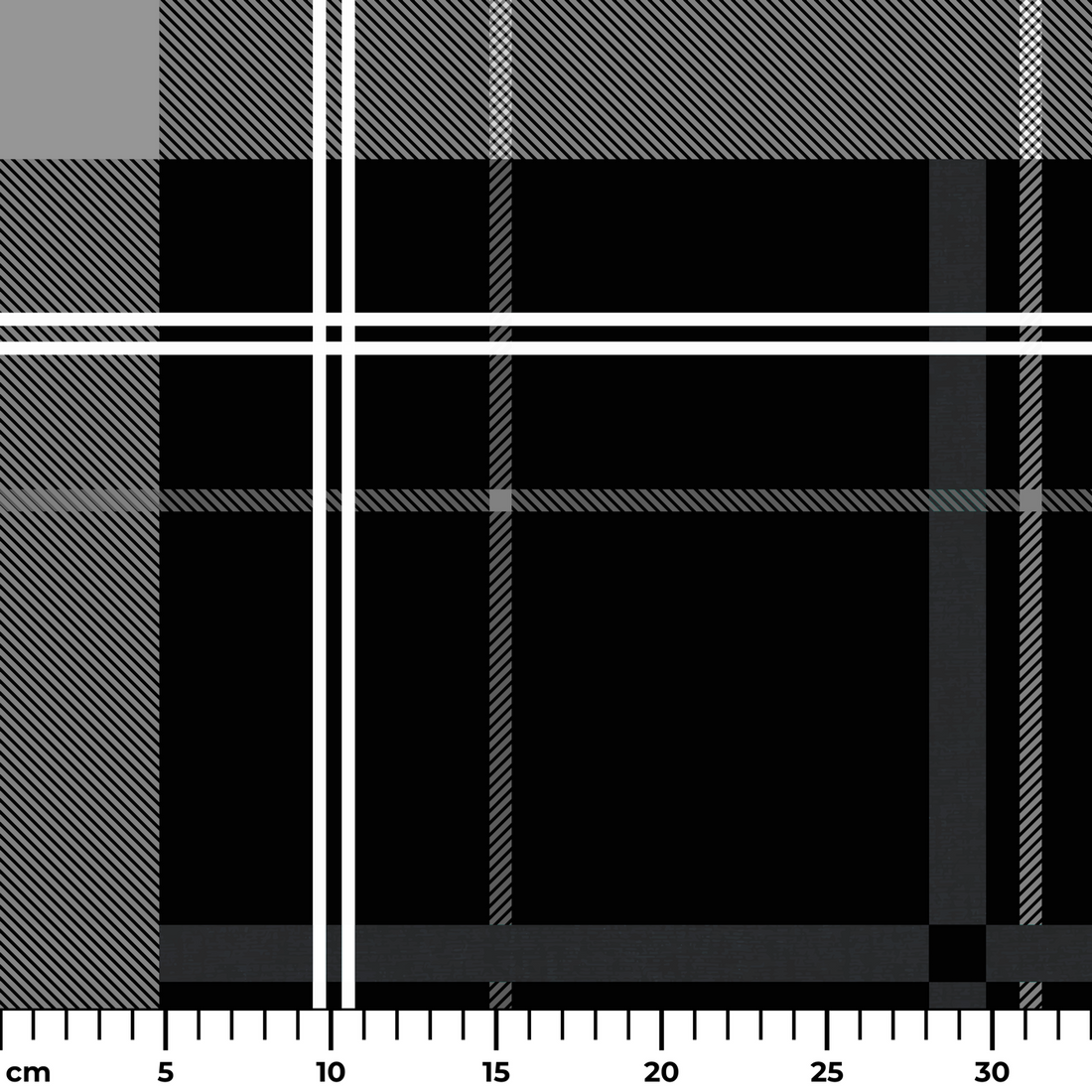  ruler cm